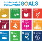 UN SDGs