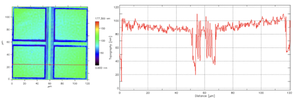 Figure 7: High resolution mapping (left) and profile (right) of single pad flatness.